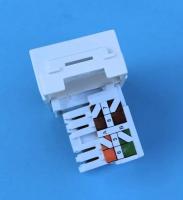 CAT.6 UTP LAN埋込モジュラージャック デュアルタイプ　90度